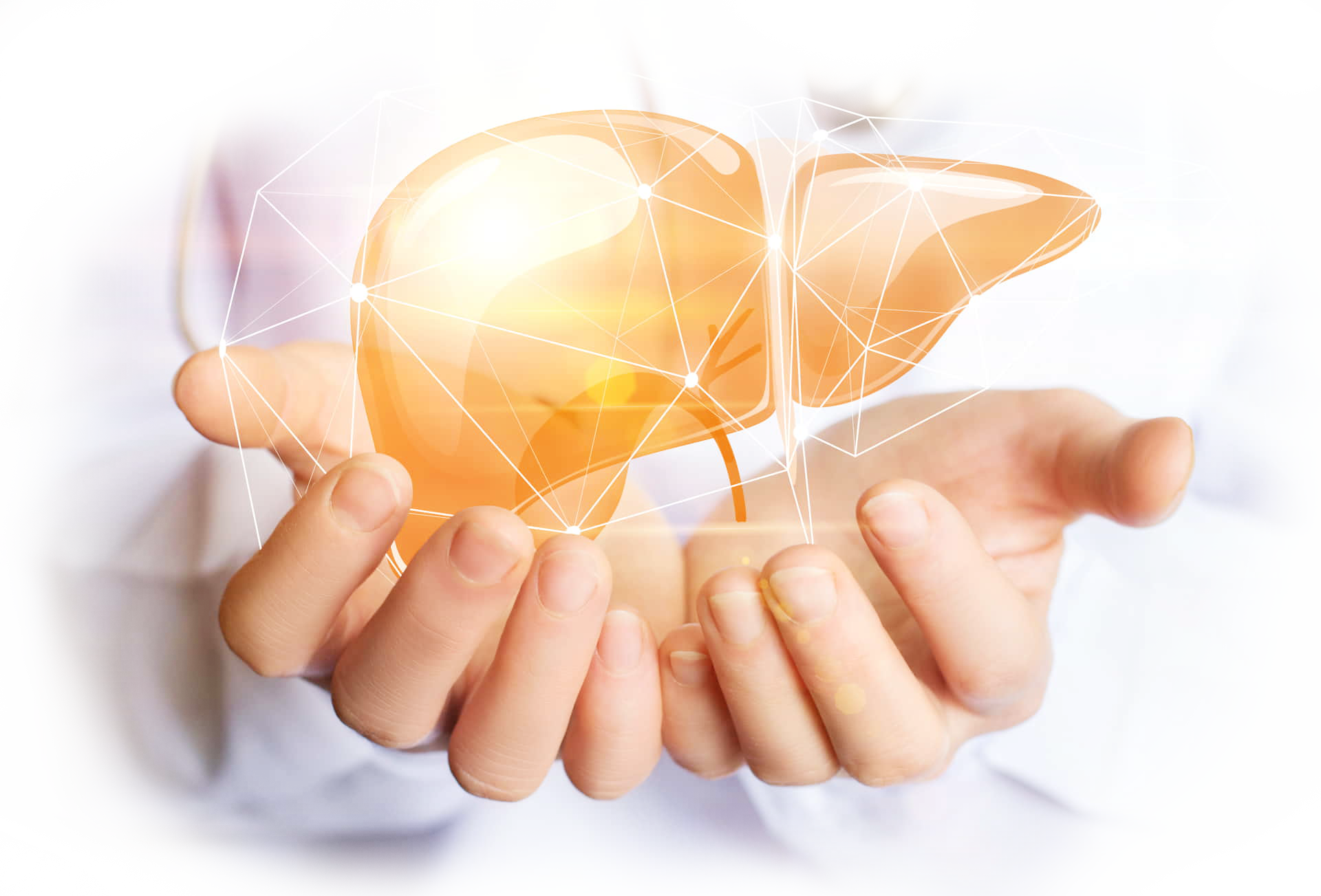 liver_hand